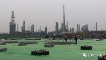 整合8家地炼资源 总投资140亿元东营威联化学200万吨 年PX项目年底基本建成