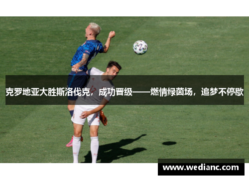 克罗地亚大胜斯洛伐克，成功晋级——燃情绿茵场，追梦不停歇